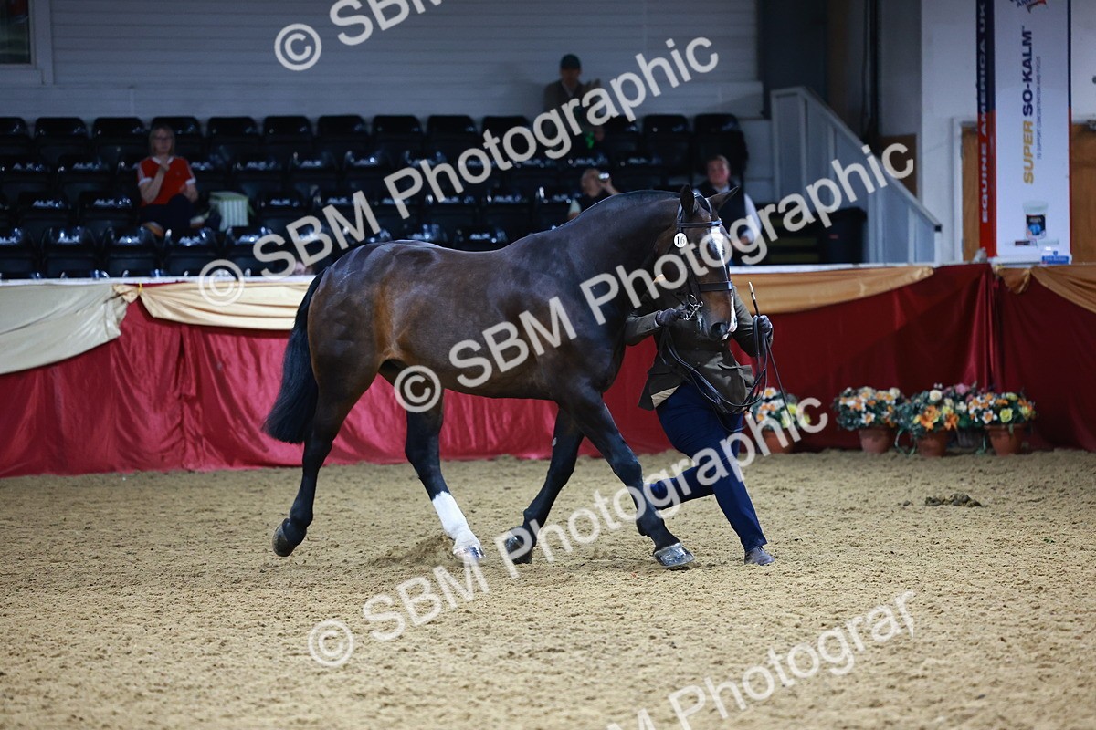 SBM_23250 - Class 903 - Supreme Final - IH Pre Vet