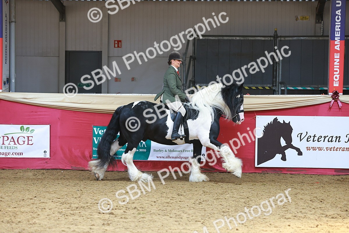 SBM_12741 - HOYS Veteran Qualifier - Ridden Champ