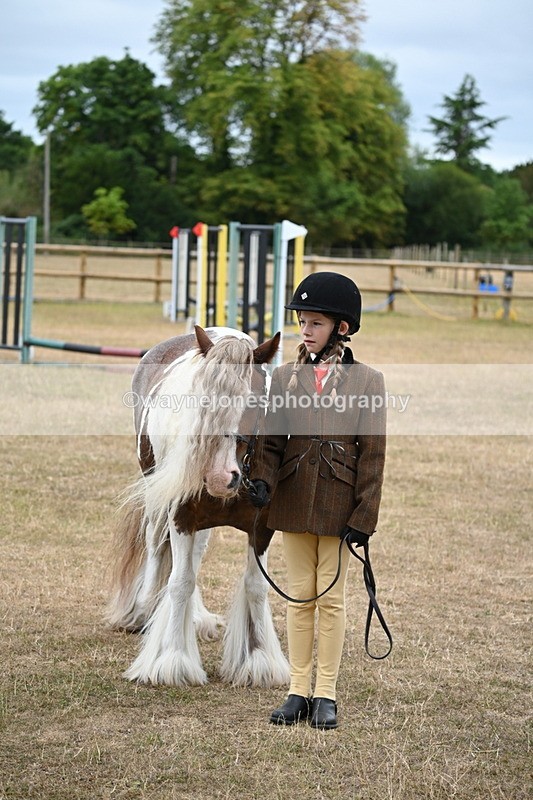 WJ6_8235 - Class 10 Coloured in Hand