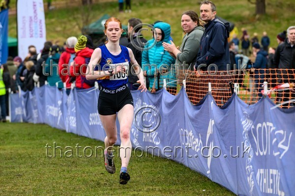 Falkirk26-913676 - Senior Women Set Two