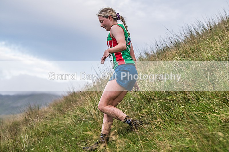 Steel Fell-604 - Steel Fell Race Wednesday 6th August 2025