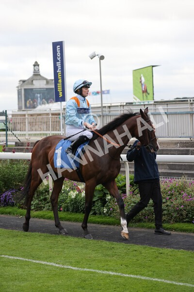 yr24092021r8-5 - Race 8 5.25pm William Hill Build Your Own Odds Apprentice Stakes