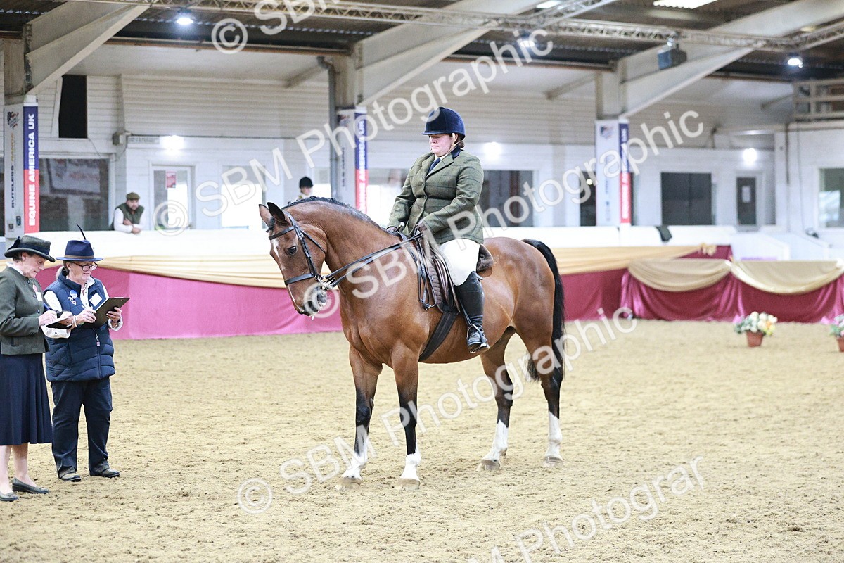 SBM_08192 - Class 11R - Regional Ridden Veteran