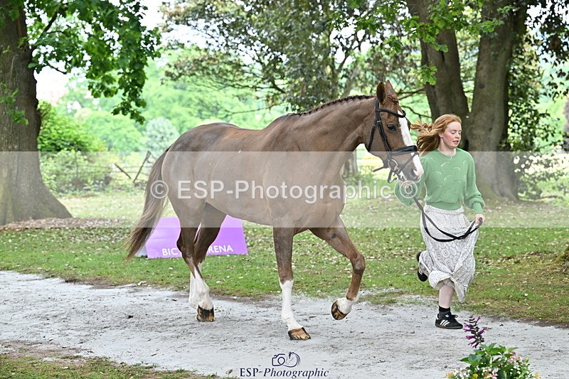 250521A-145105-00282 - A-057-Tabitha.Moore-BILLY.HOODOOS