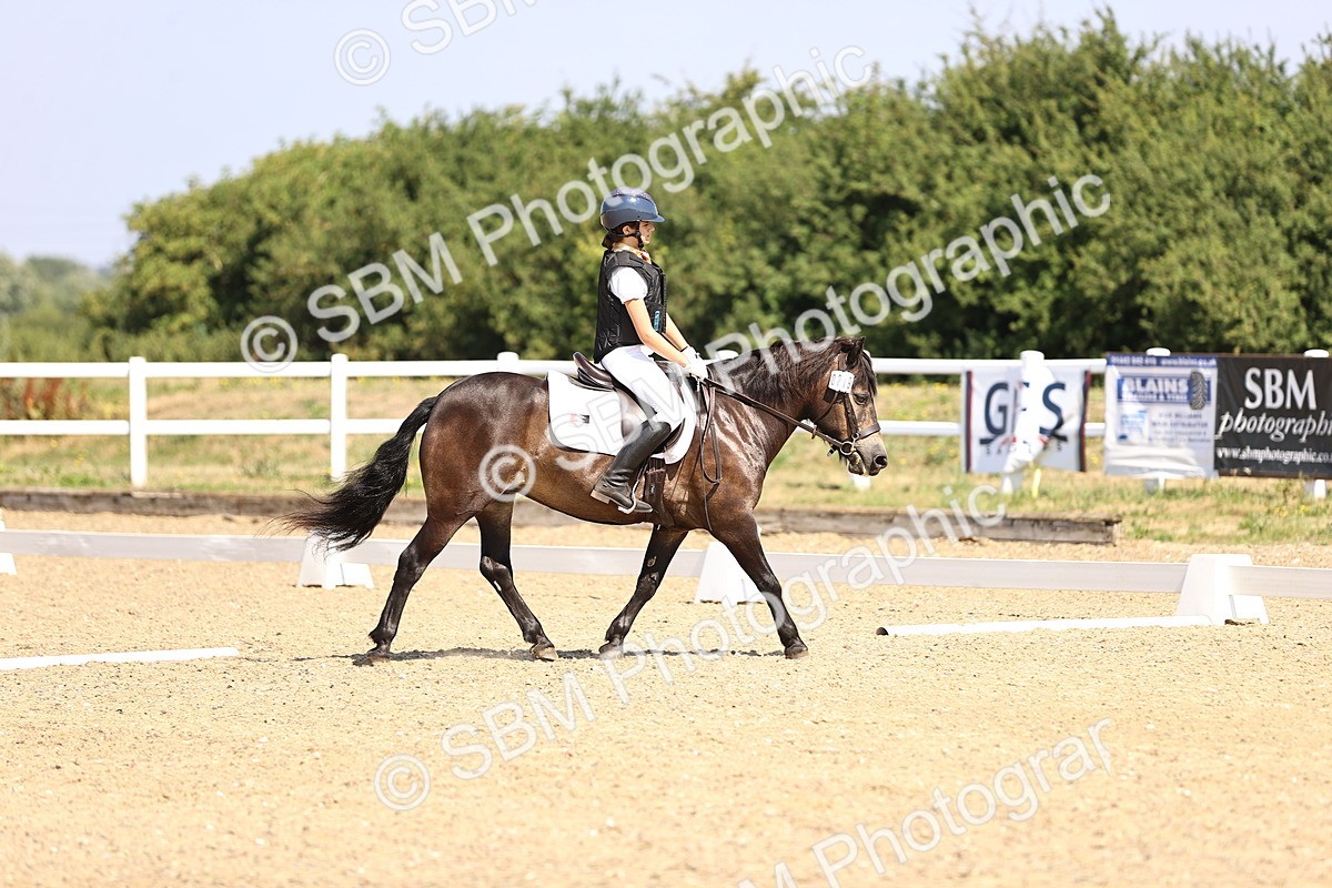 SBM_003517 - Intro 2