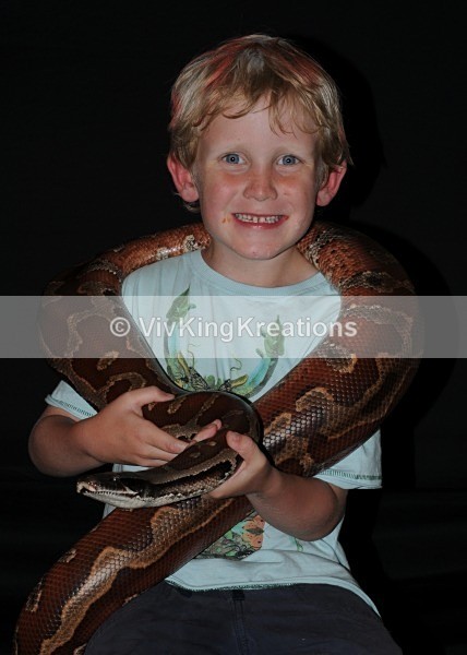  - Reptile