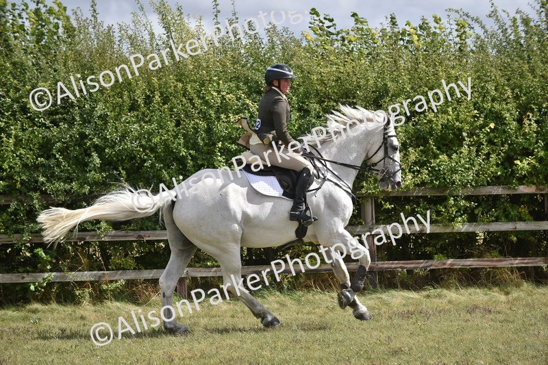 20250831-4128 - Class 13 - Working Hunter Horse or Pony