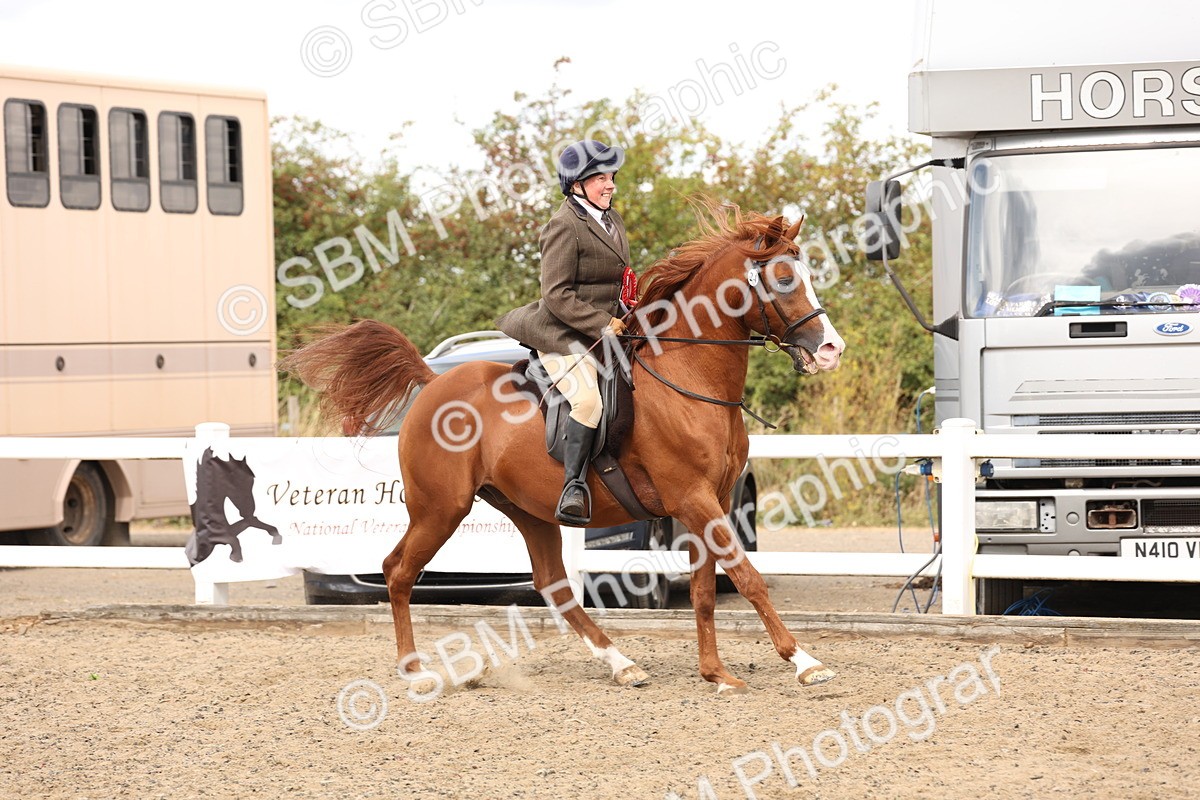 SBM_05248 - Class 56b -  Style & Performance - 50cm (20+)