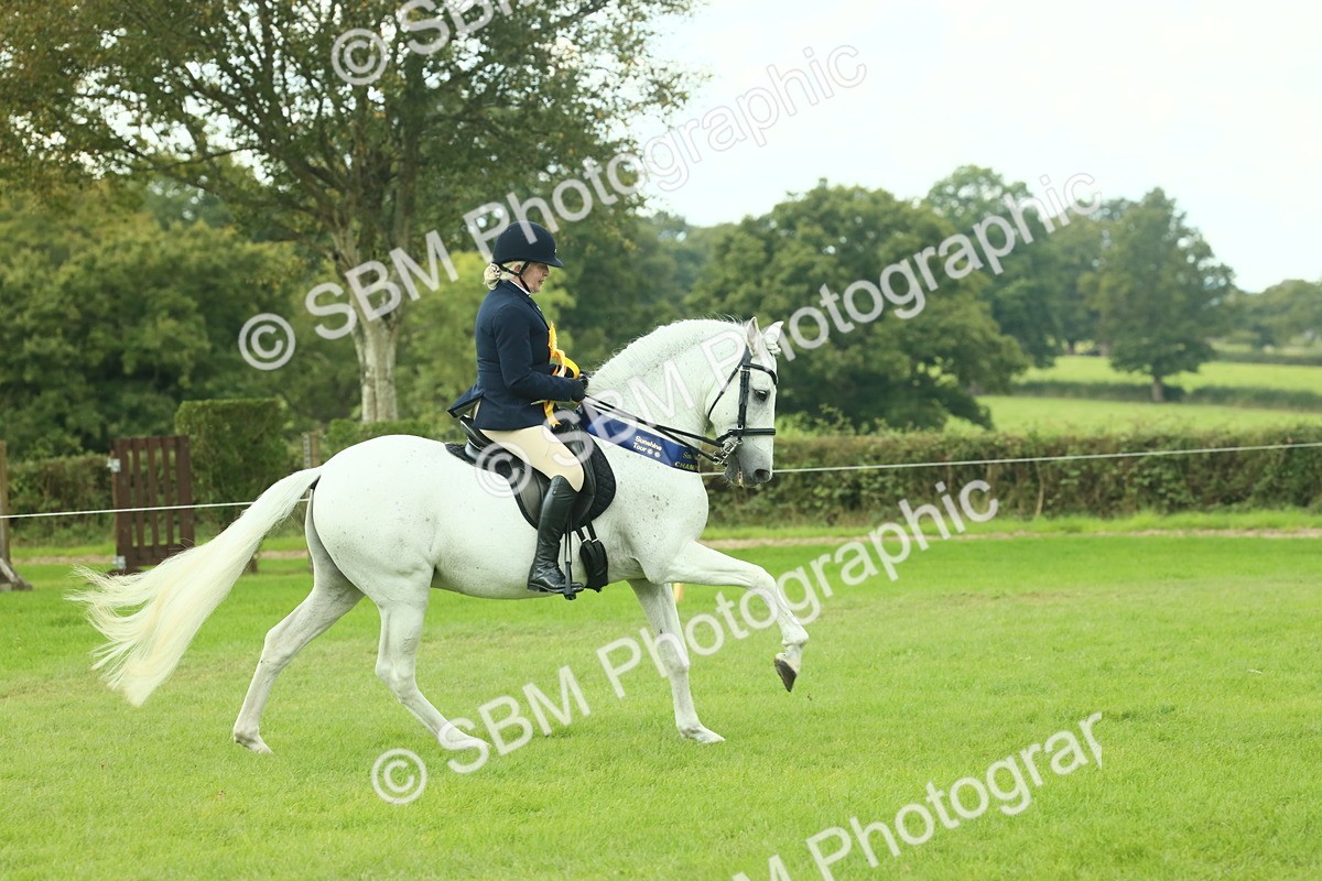 SBM_62559 - S62 - Foreign Breeds Ridden