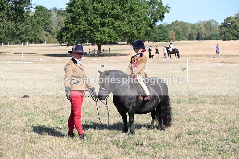 WJ6_7657 - Class 34 Judges Choice