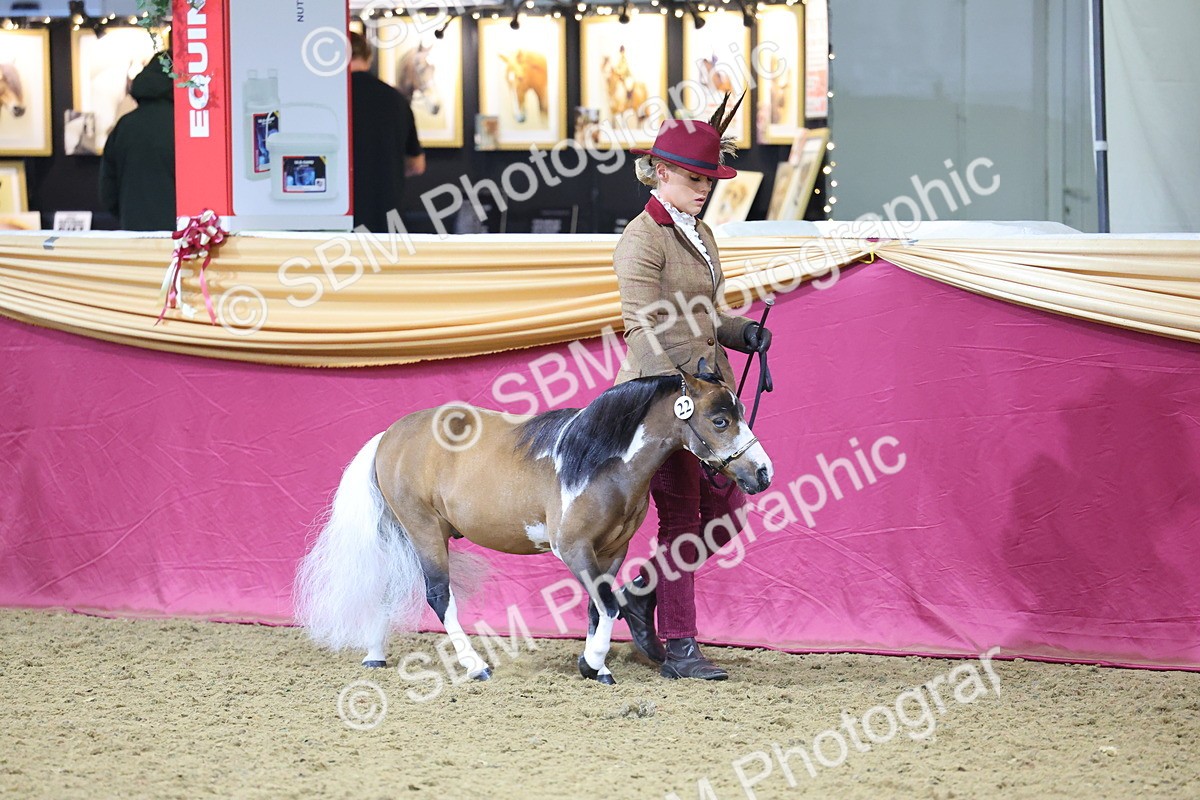 SBM_20940 - Class 902 - Supreme Final IH Veteran