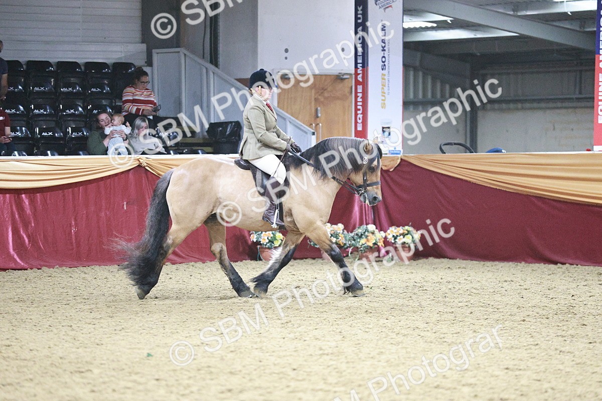 SBM_08108 - Class 11R - Regional Ridden Veteran