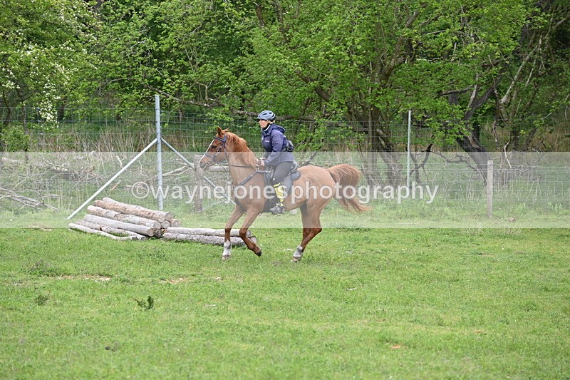 WJ6_3216 - A camera