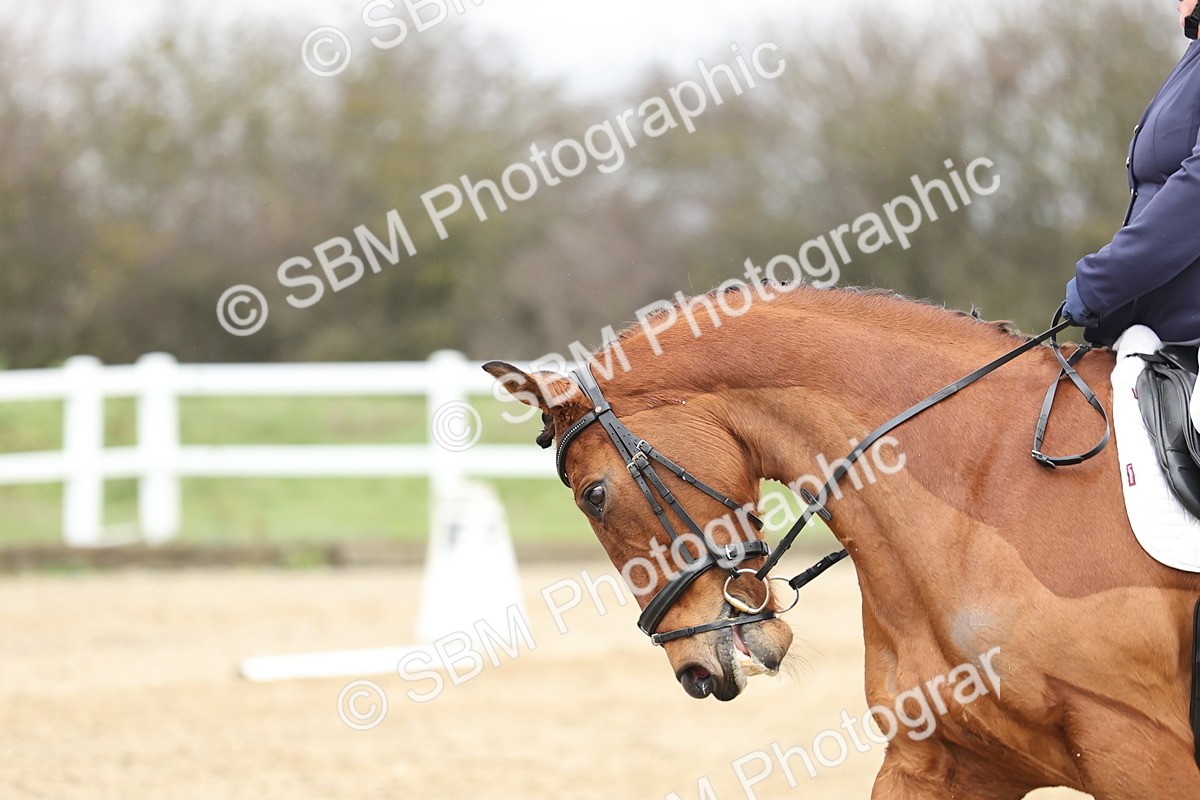 SBM_004095 - Novice 1