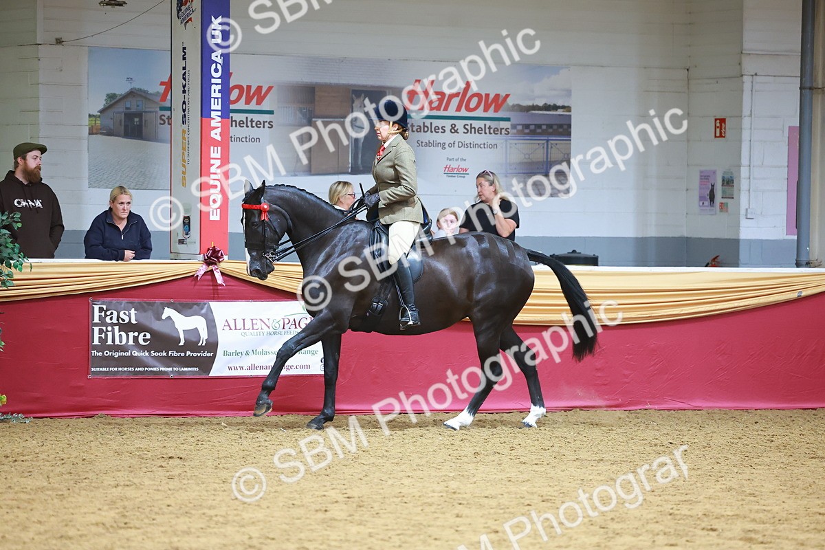 SBM_06289 - Class 12R - Ridden Pre-Vet