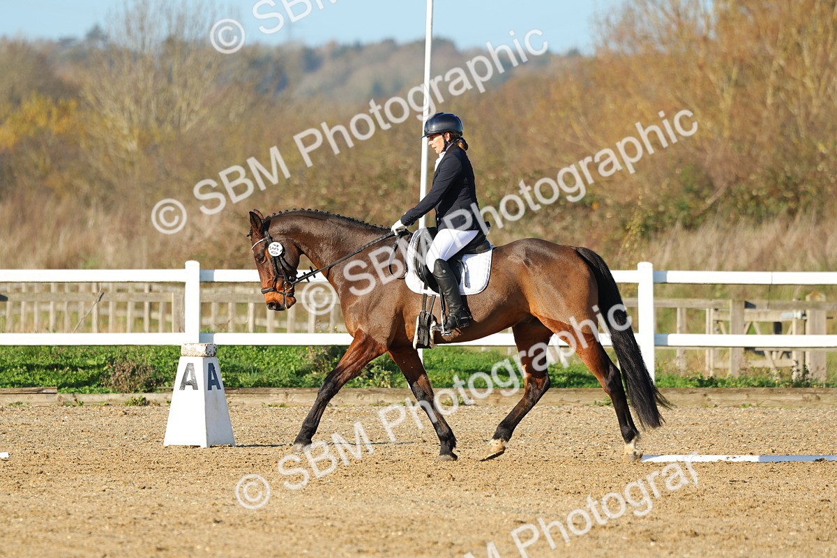 1I0A4919 - Class 5 - Novice 5