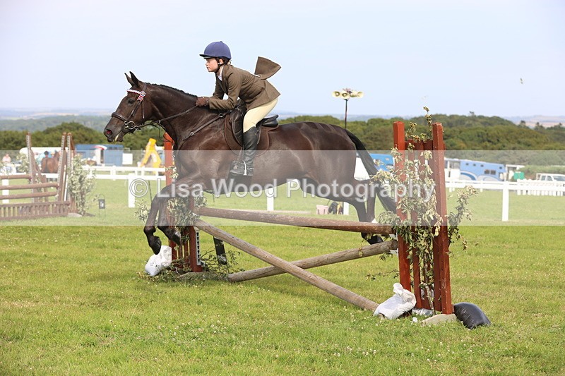 JPP_4217 - Class 25: Working Show Horse