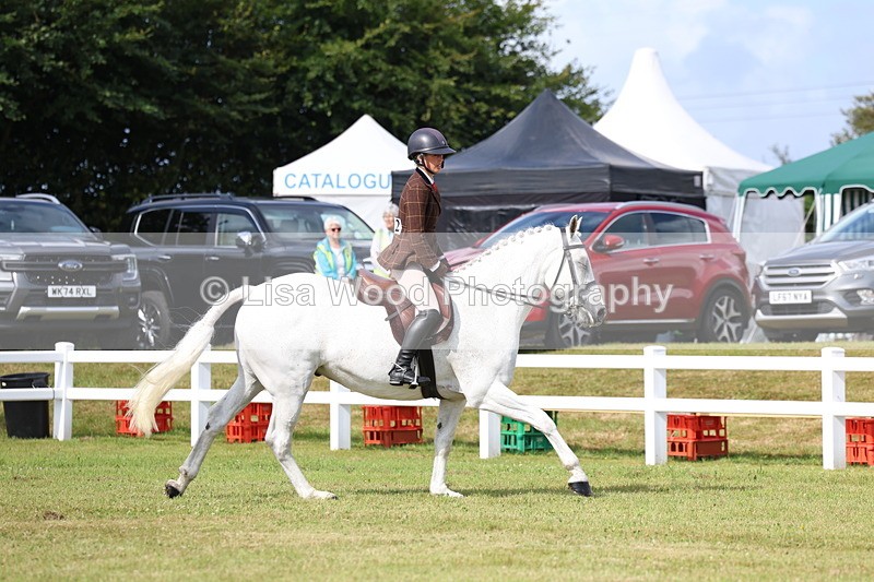 3E7A8937 - Class 3: Rising Star S/L Hunter