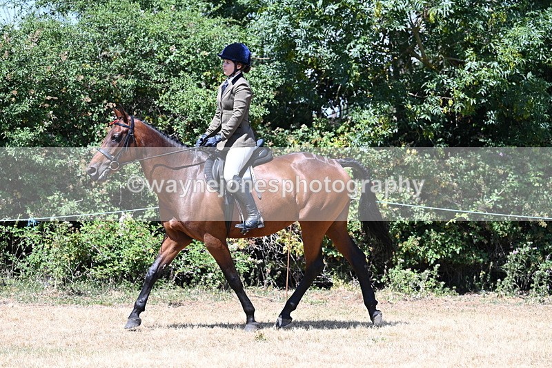 WJ7_2769 - Class 7 Riding Club Show Horse