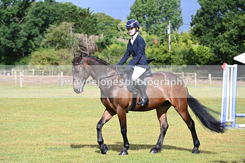 WJ6_8503 - Class 9 Tack & Turned out