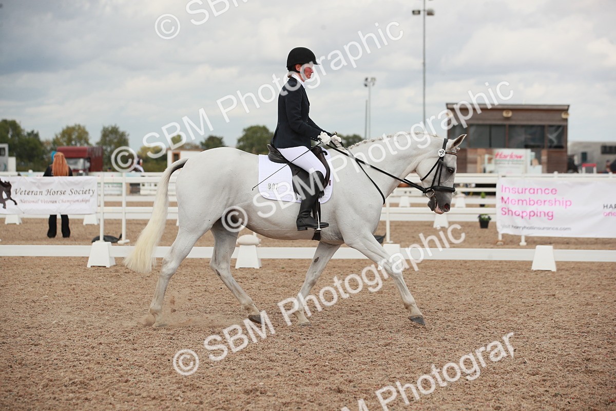 SBM_06018 - Class 32 - Novice 1