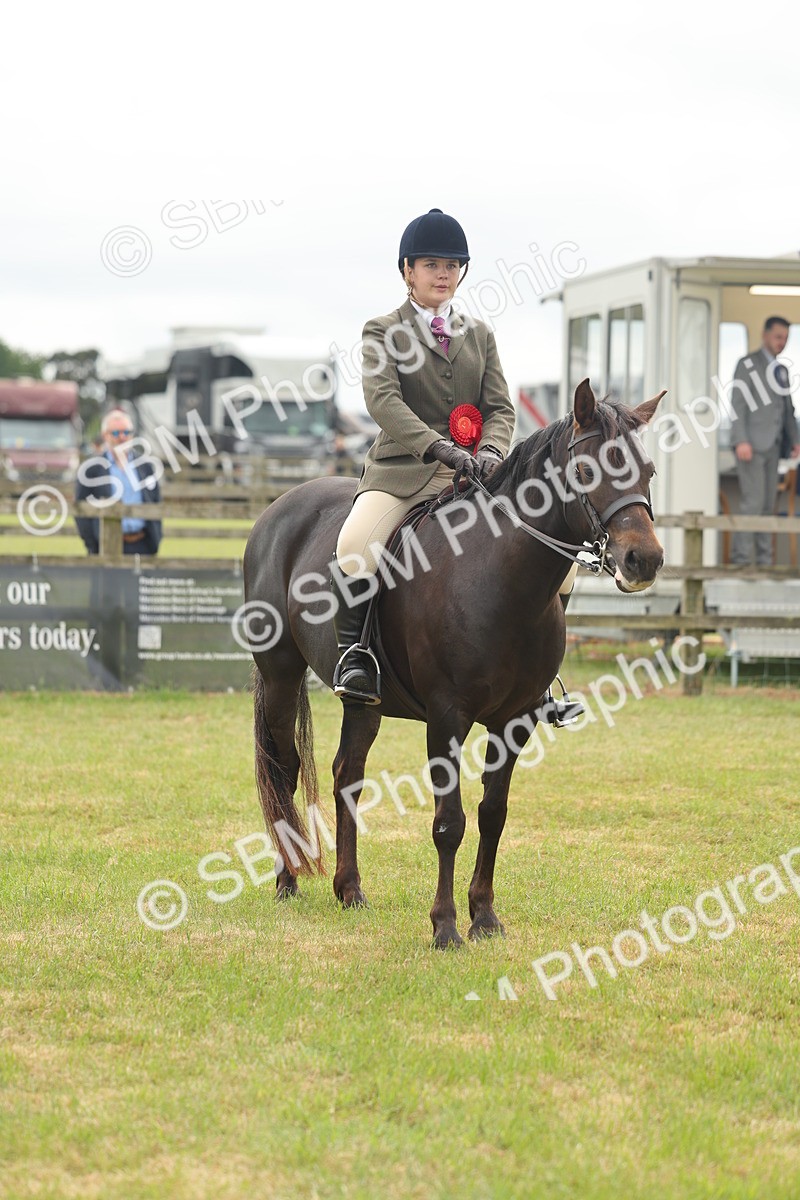 SBM_09142 - Class 78-80 - Ridden M&M Non Welsh Ponies
