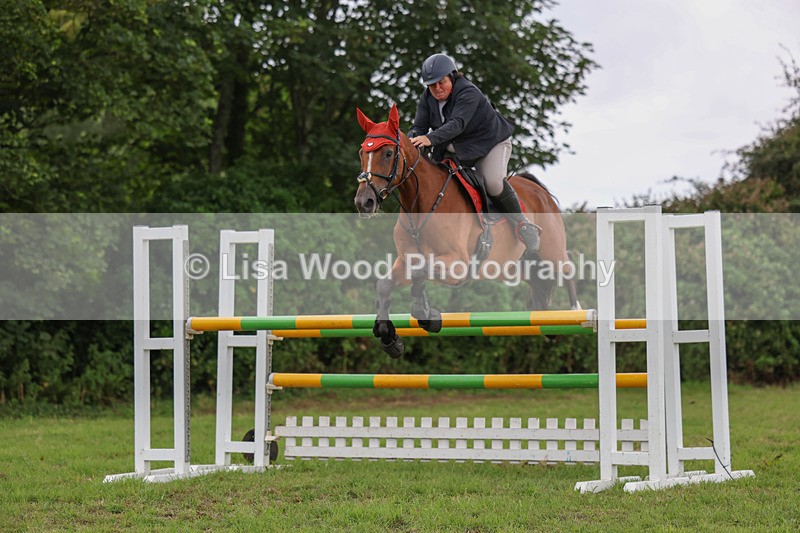 3E7A8245 - Class 7: Senior Newcomers/1.10m open