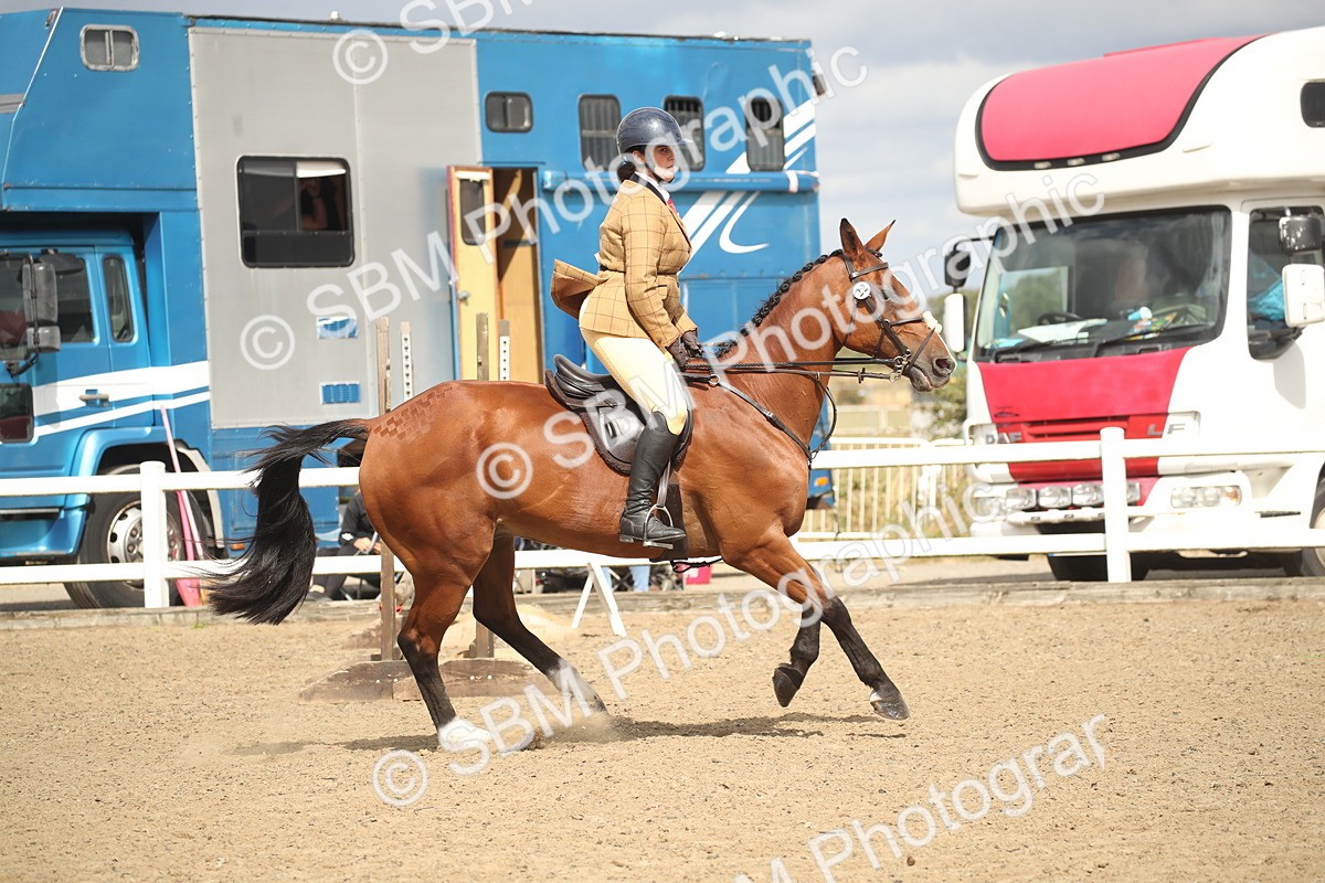 SBM_15314 - Class 506b - Working Veteran - 50cm (20+)