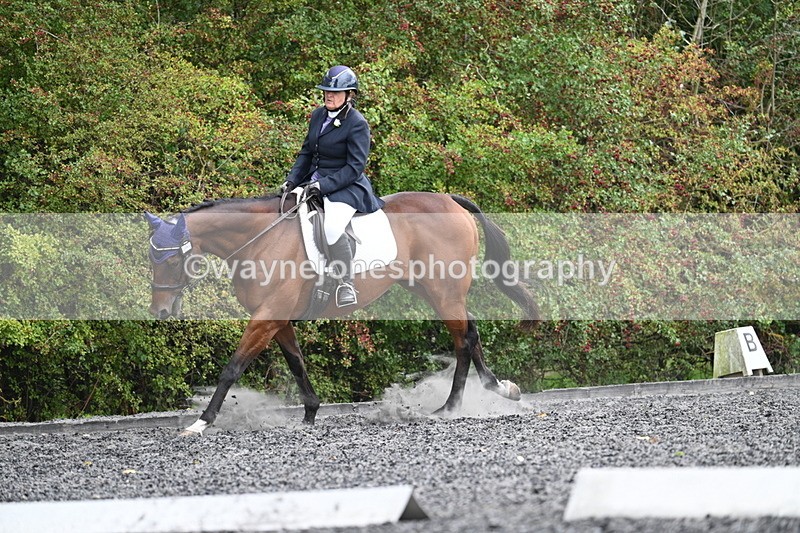 WJ7_6490 - Time 14:49 to 15:14