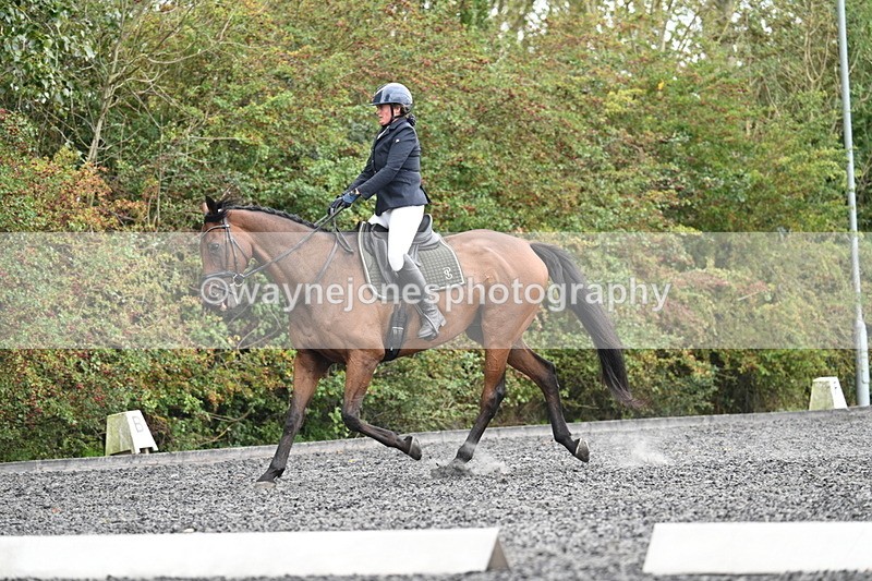 WJ7_6171 - Time 14:10 to 14:45