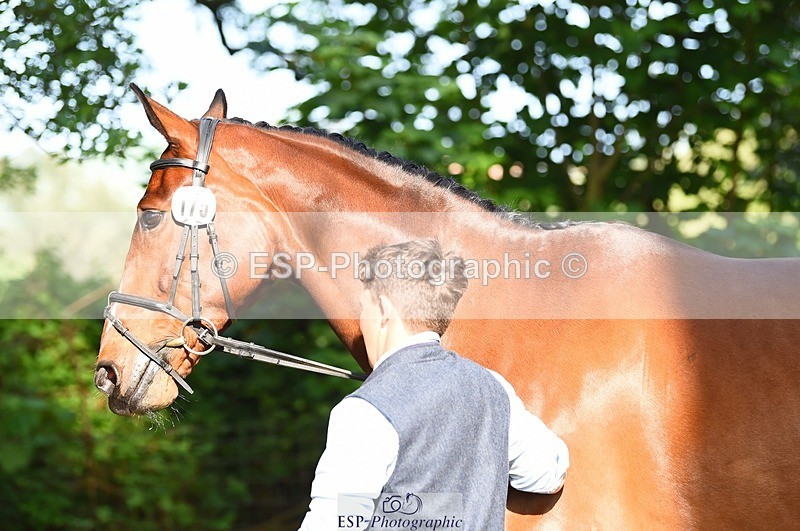 230524-172138-01465 - 175-MONBEG_EQUITY-Tom_McEwen-WEDTrotUp+DR