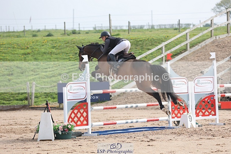 250424-093452-02883 - Cls 29 Young Horse 6yr old