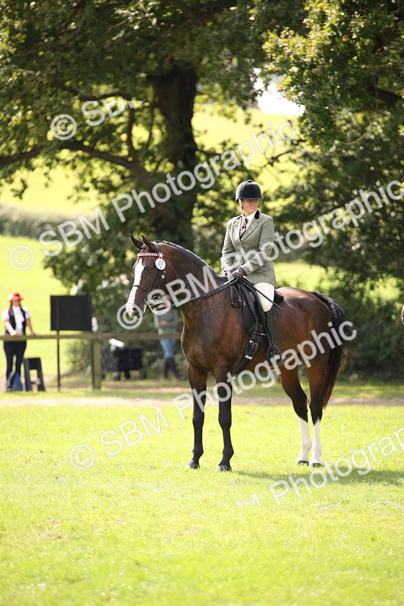 SBM_65980 - S64 - Riding Horse & Hack & Thoroughbred Ridden