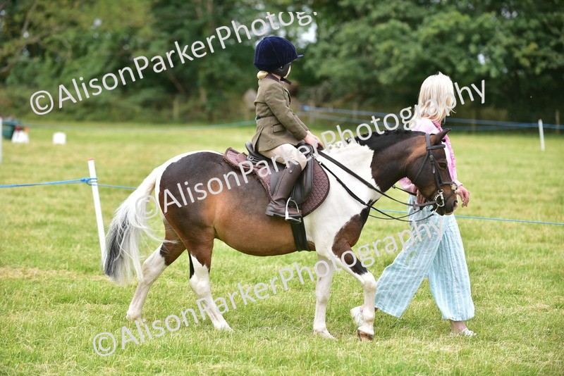 20260614-2701 - Class 13 - Pony Club Pony