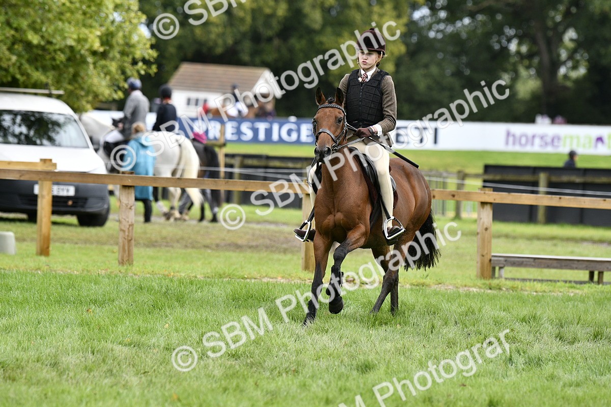 SBM_45605 - S33 - Working Hunter Pony