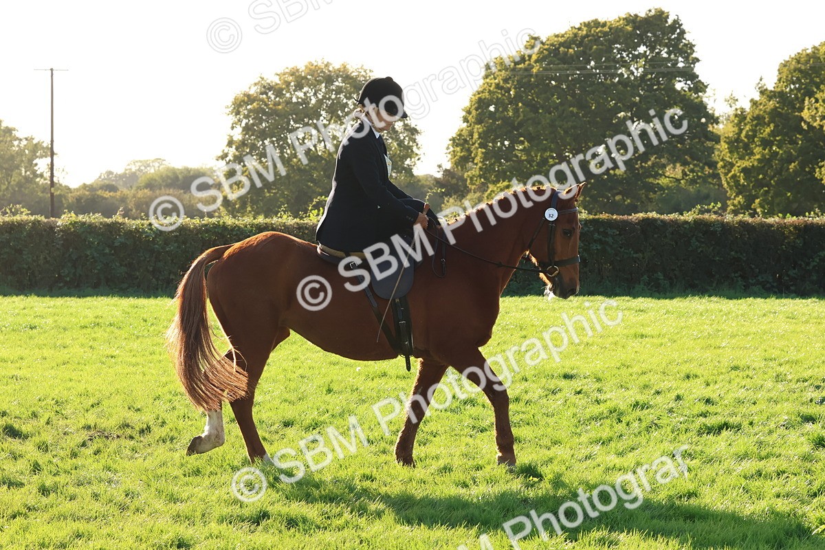 SBM_52986 - S29 - Mature Veteran Ridden