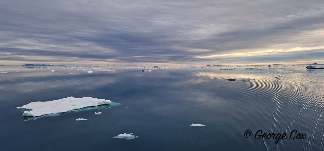 Fantastic light - Svalbard - Realm of the Polar Bear