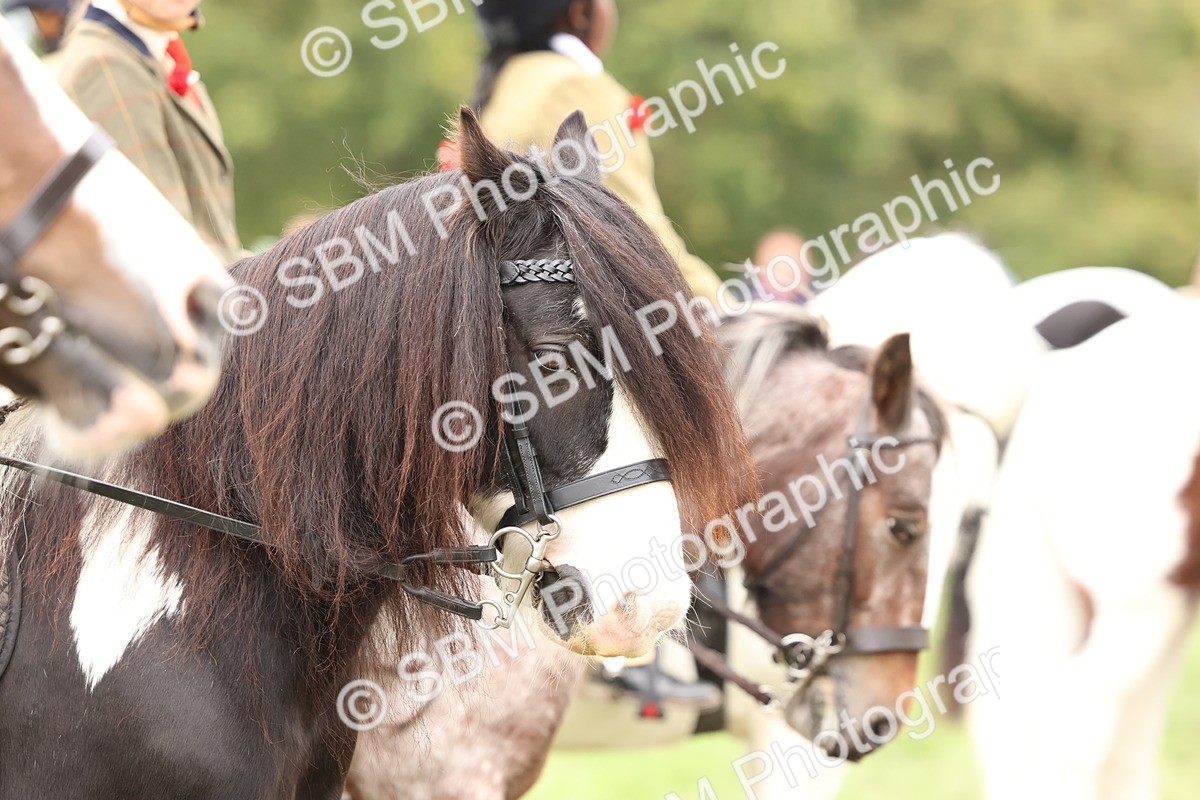 SBM_64529 - S58 - Coloured Pony Ridden