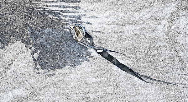  - The Sand Gallery