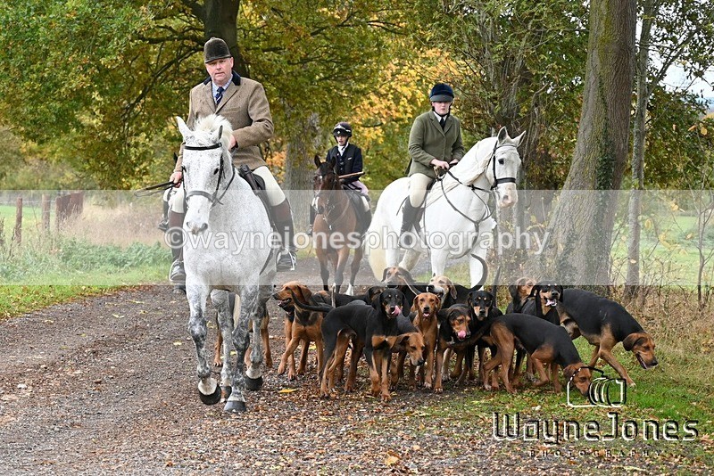 WJ6_9270 - Edited examples