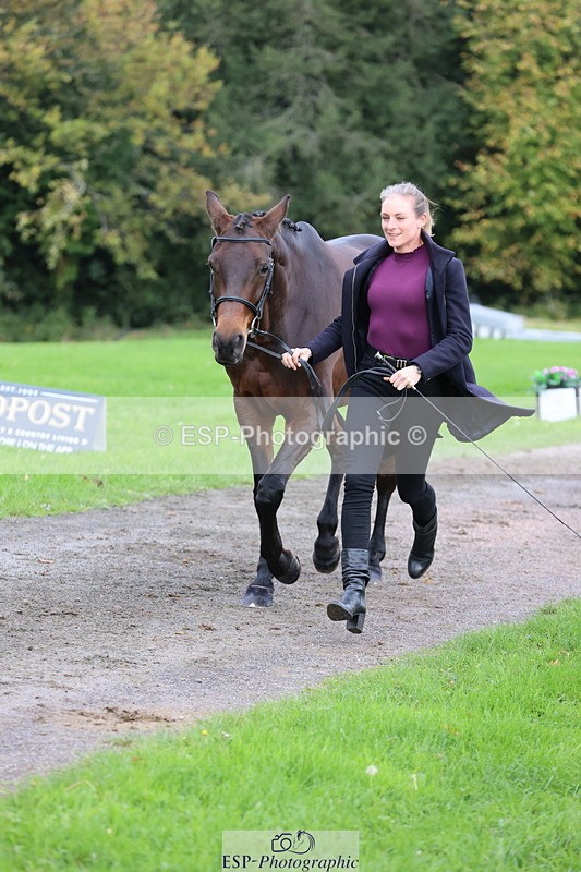 251026A-105544-23376 - G-551-Helen.Daly