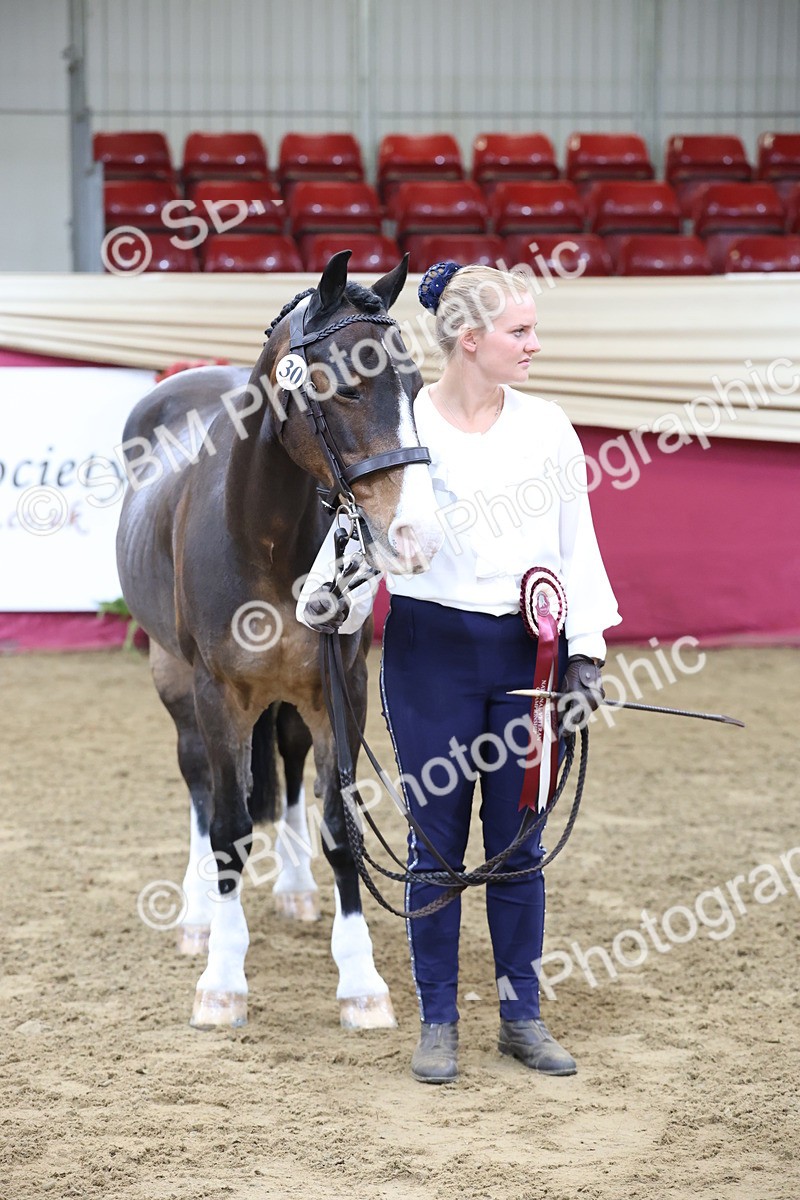 SBM_21897 - Class 901 - Supreme Final - IH  Diamond