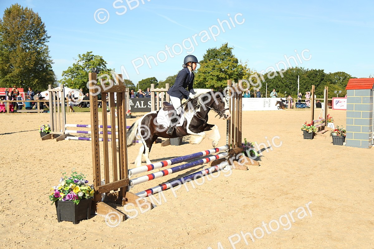 SBM_35927 - J5 - Junior Pony 50cm Championship