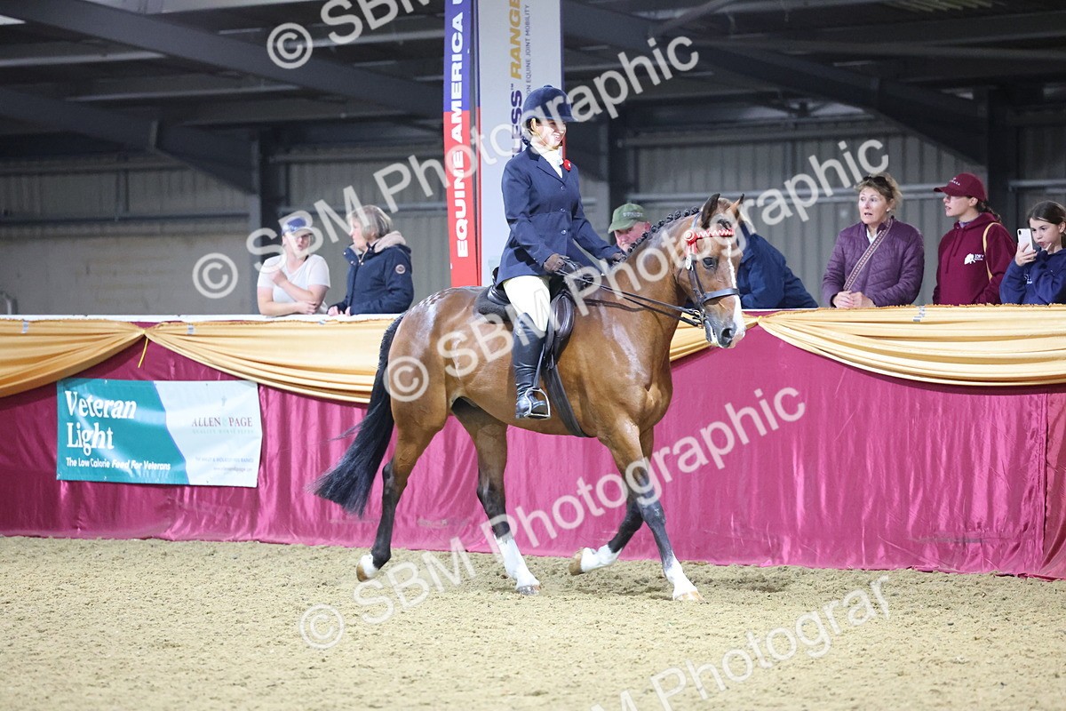 0B8A4522 - Class P Veteran Champ