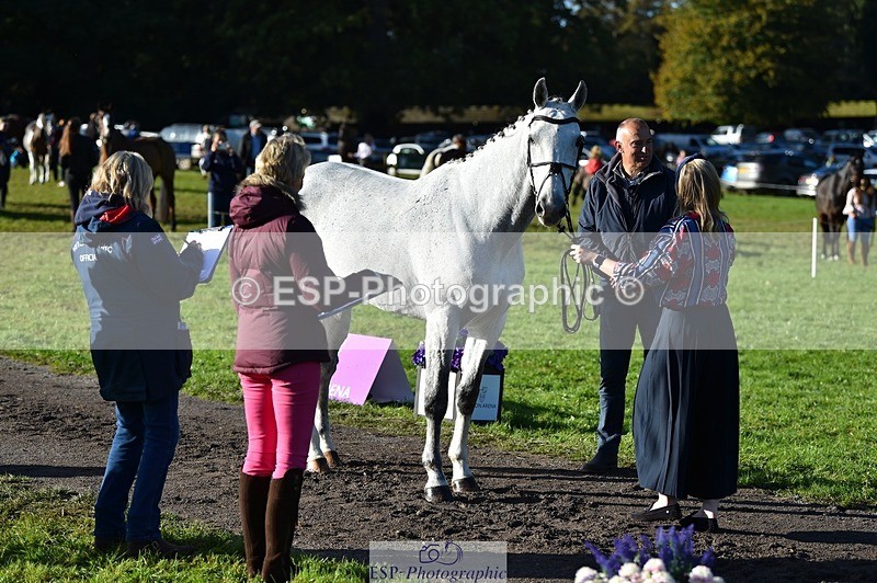 231022-101408-22324 - 504-CALYPSO'S.PRIDE-Letitia.Pickles-TrotUp+SJ