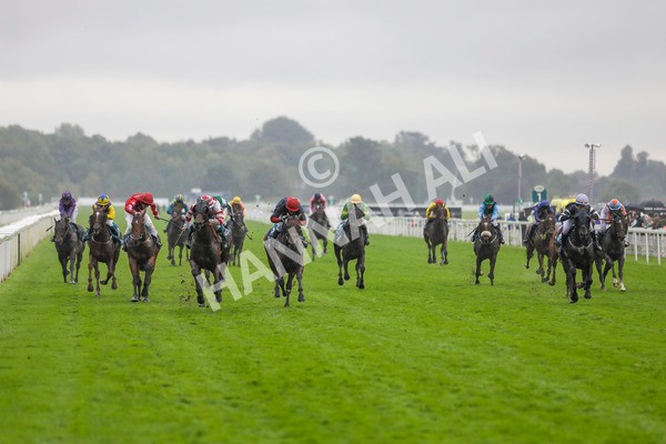 080924-Race 7-Young Fire-4596 - Race 7 5.10pm Elevator Company Amateur Jockeys' Handicap