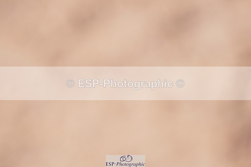 240728A-094604-08013 - Cls 25A Snr 1.05m