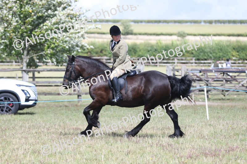 20250831-2956 - Class 19 - Mountain and Moorland