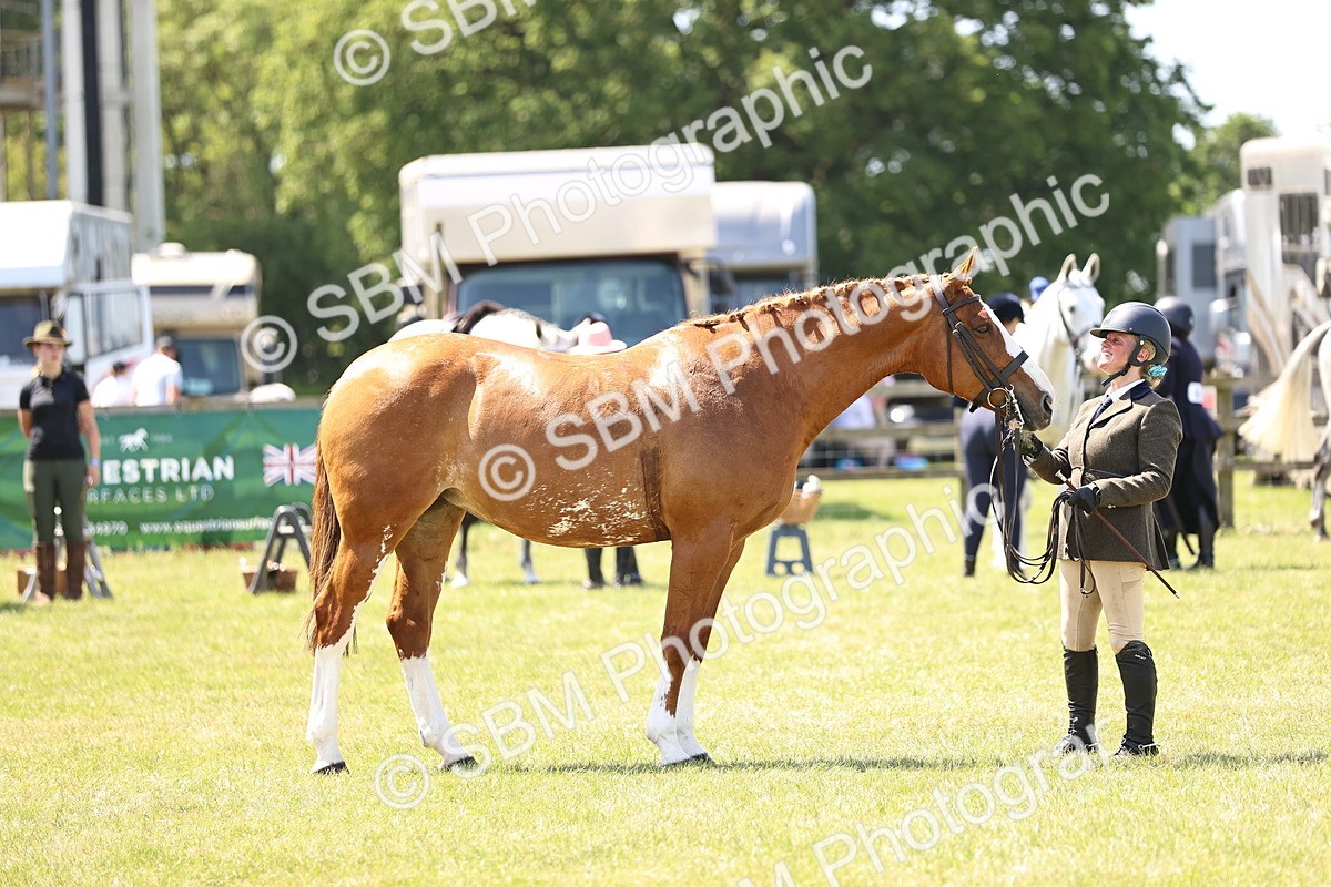 SBM_15222 - Class 79-80 - LIHS BSHA Rising Star Ridden Hunter