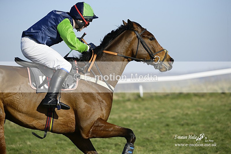 PtP 270222 243 - South & West Wilts Point-to-Point Larkhill 27/02/22